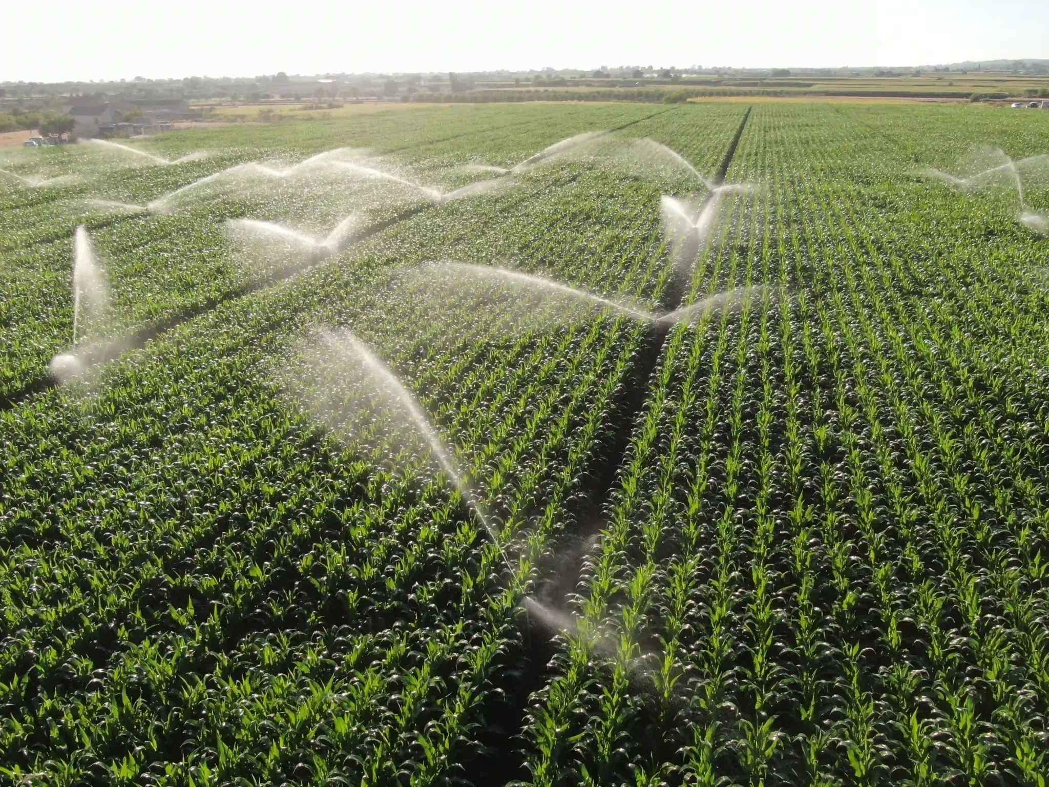 FAESC destaca articulação da CNA para manter   benefícios de ICMS ao agro