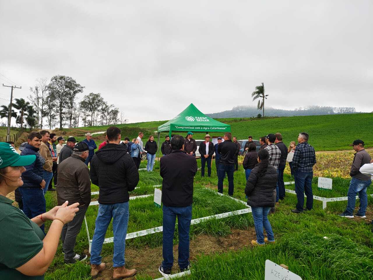 Oficina técnica orienta produtores sobre manejo de pastagens de inverno em Braço do Norte