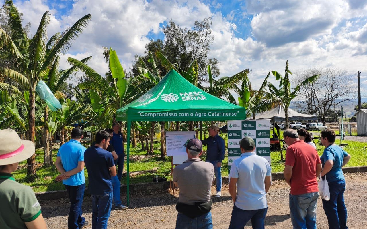 Seminário reúne produtores e debate avanços na bananicultura em Jacinto Machado