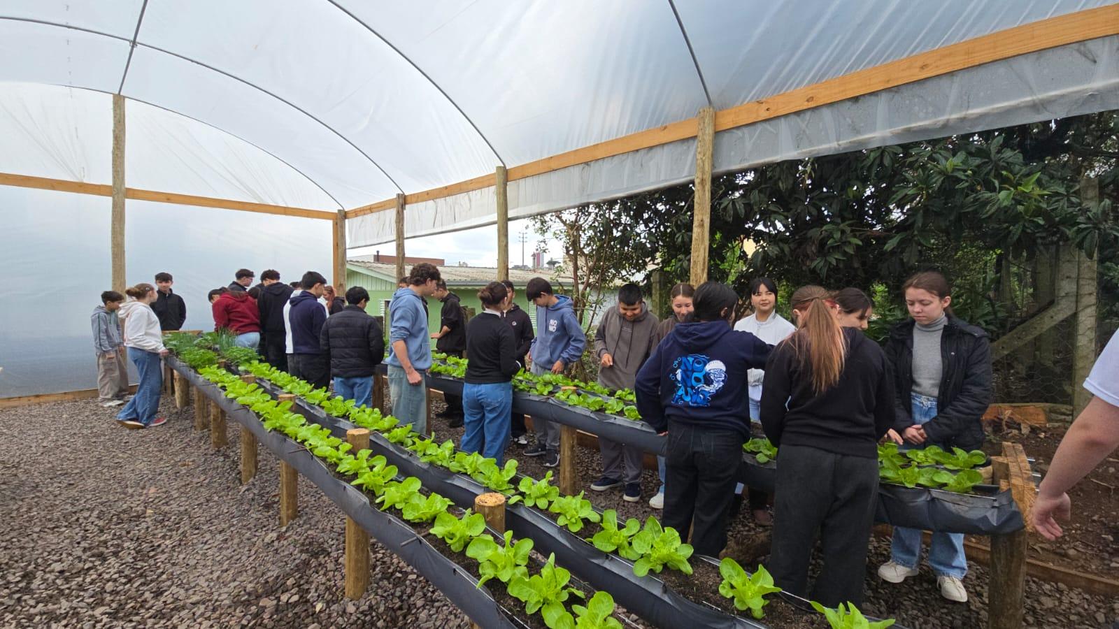 SENAR/SC abre vagas para empresas rurais no Programa Jovem Aprendiz Cotista