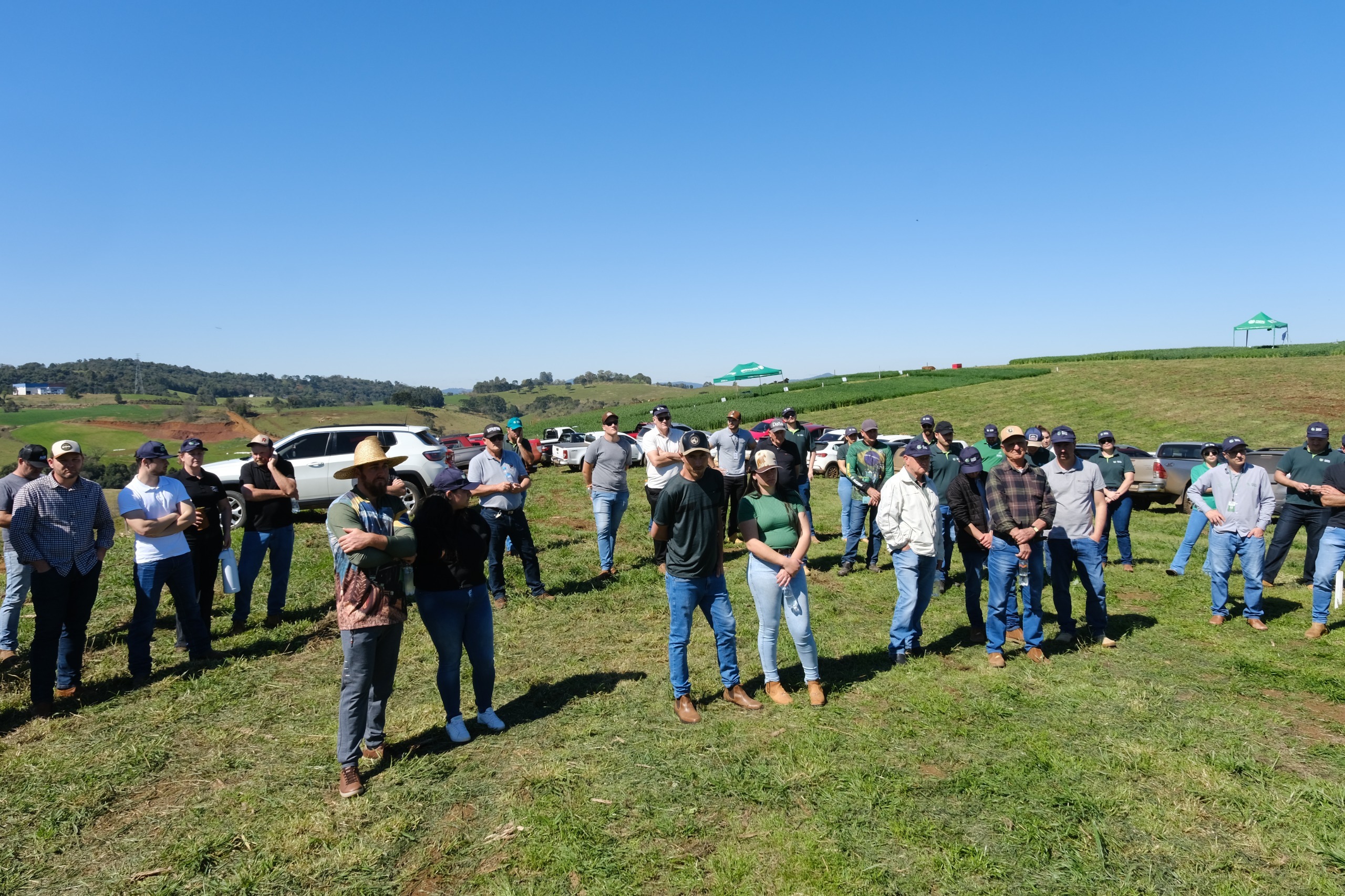 Dia de Campo aborda cultivares de inverno para a pecuária em Treze Tílias