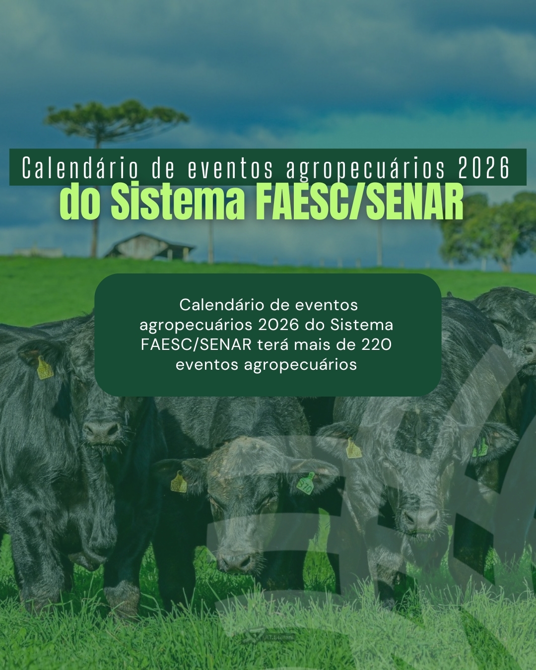 Calendário de eventos agropecuários 2026 do Sistema FAESC/SENAR terá mais de 220 eventos agropecuários