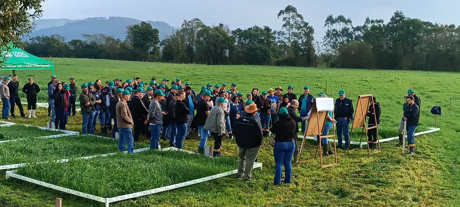 Dia de Campo Regional em Meleiro reúne mais de 100 produtores para discutir práticas de manejo