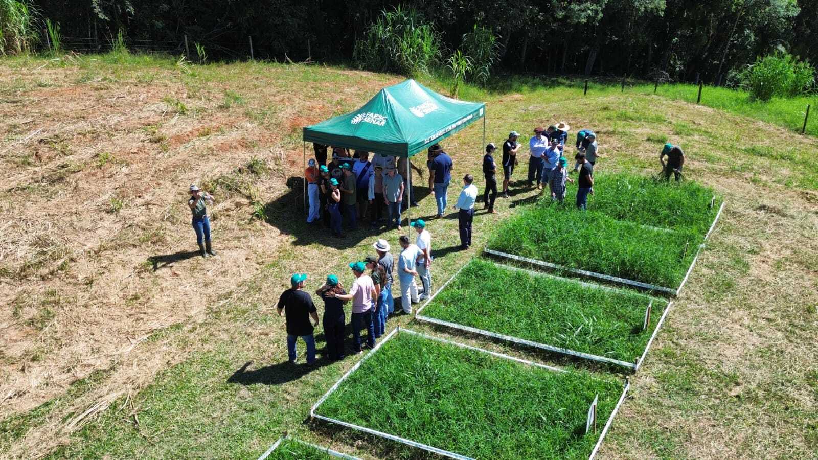 Dia de Campo destaca técnicas para fortalecer a ovinocaprinocultura no Vale do Itajaí