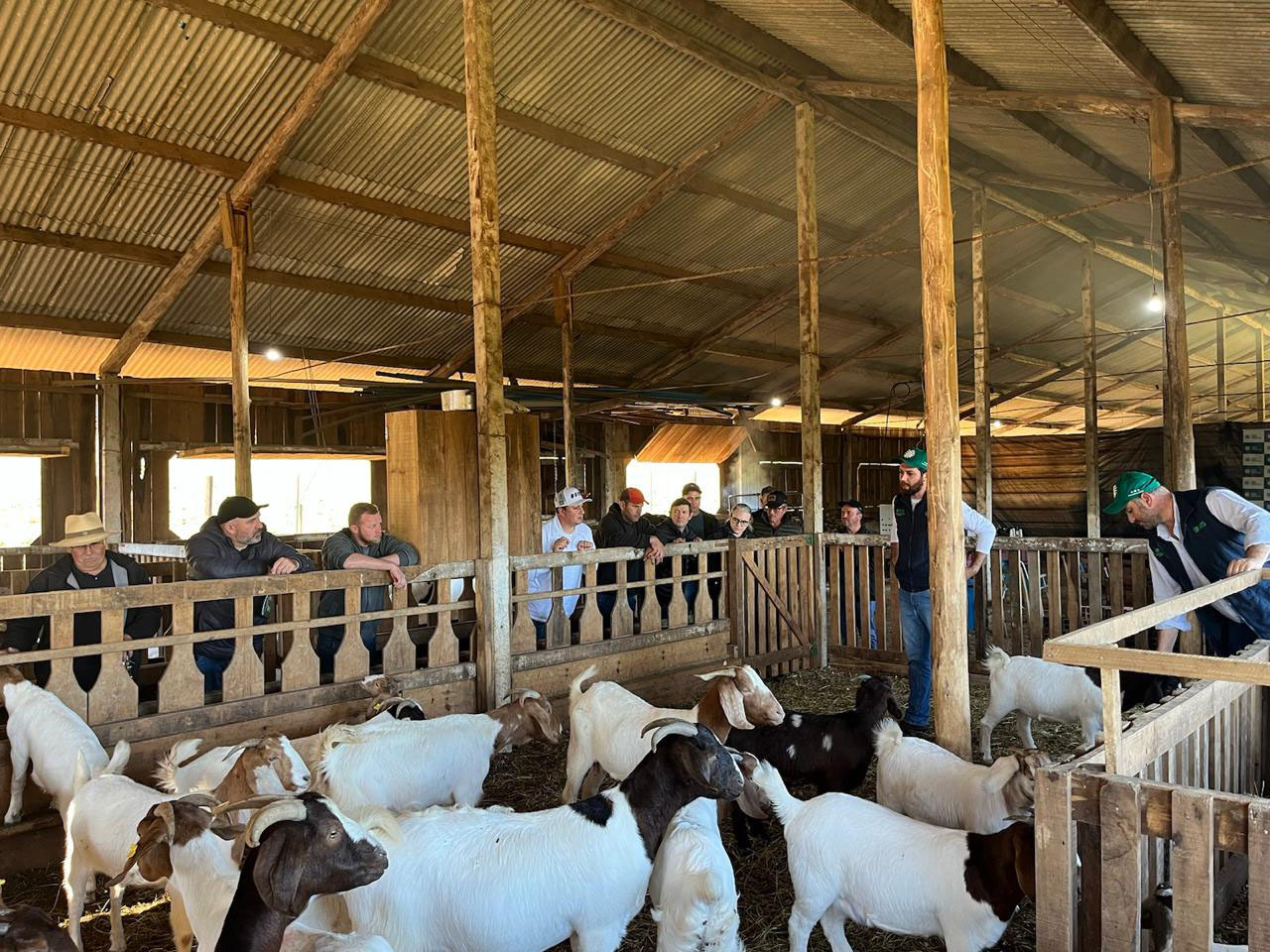 Manejo sanitário é tema de Oficina Técnica da ATeG no Oeste catarinense