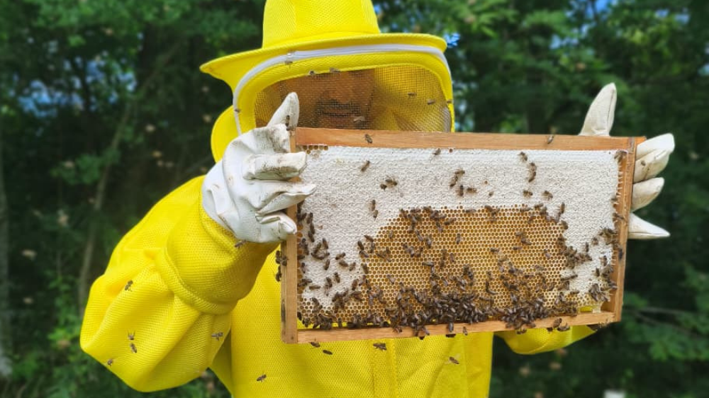 Sistema FAESC/SENAR estará presente no CONBRAPI, em Florianópolis