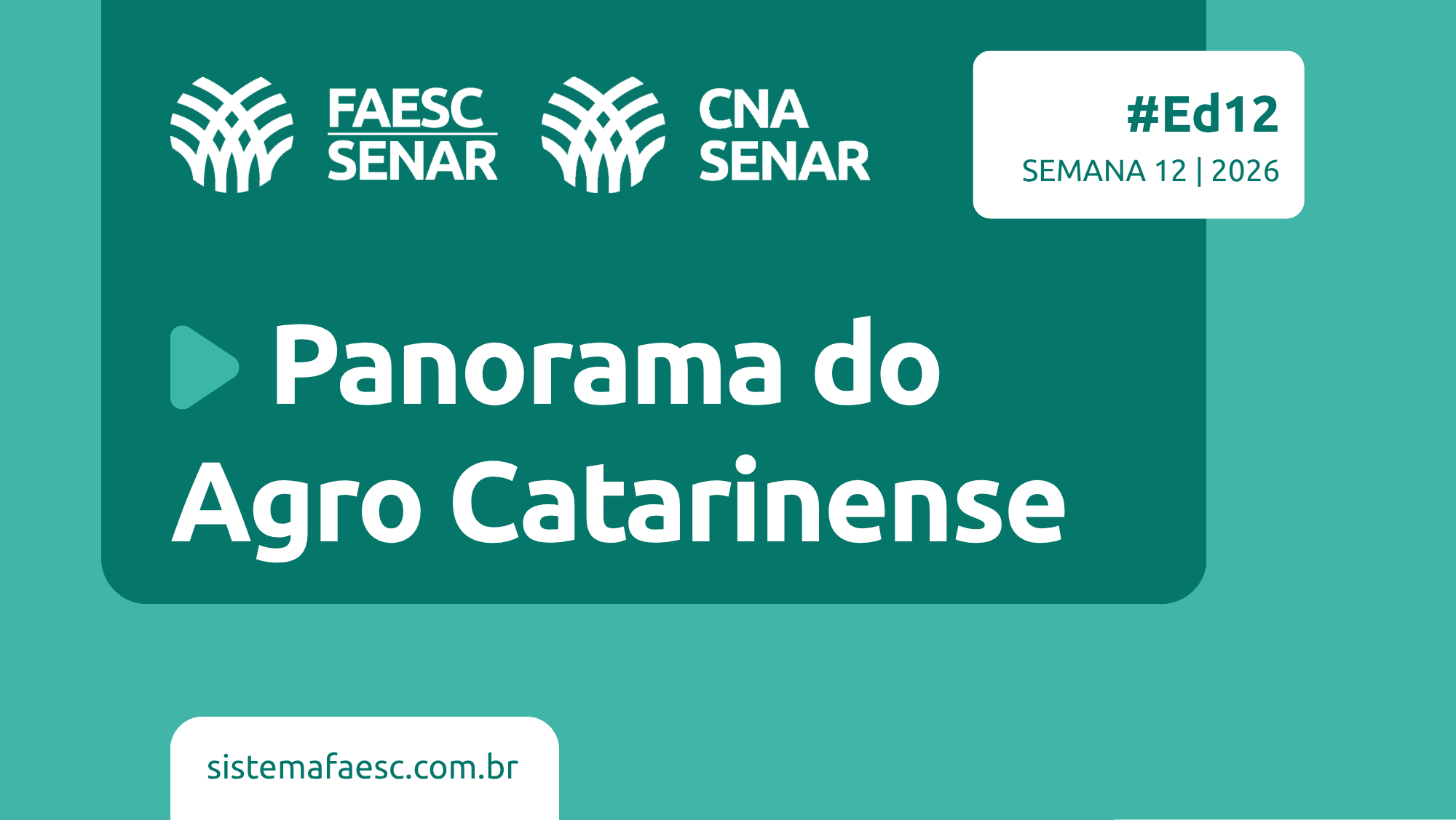 Panorama do Agro - Semana de 20 de Abril a 24 de Abril