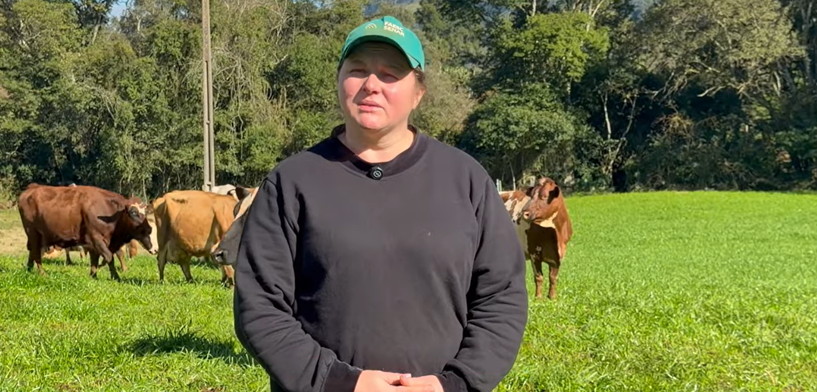 SC mostra sua força na produção de leite com histórias de dedicação, gestão e evolução no campo