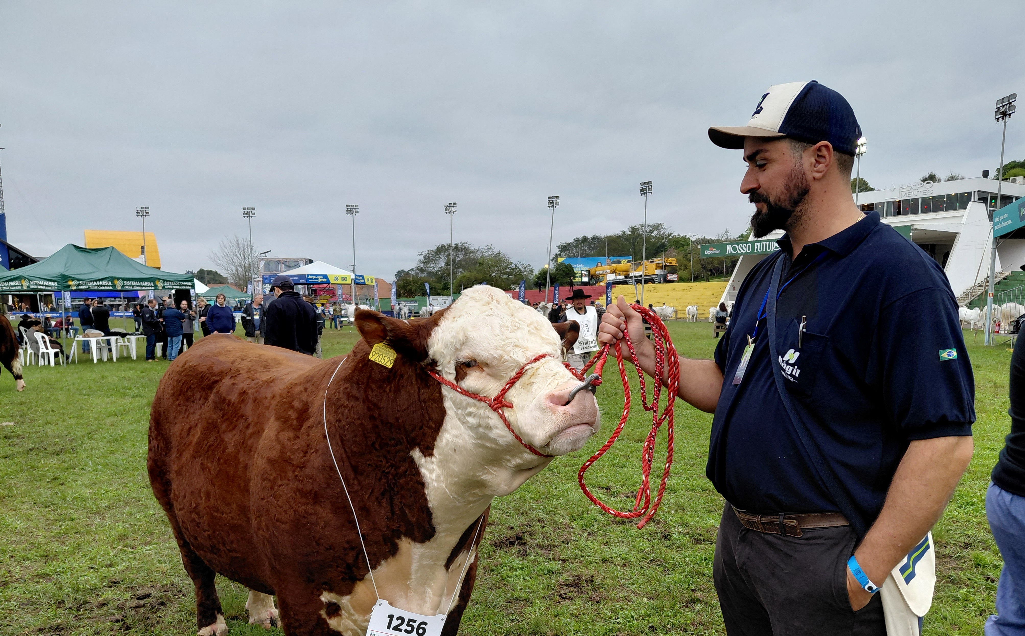 Santa Catarina se destaca na Expointer 2026 com 65 animais premiados