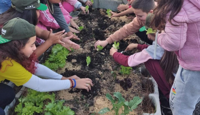 Projeto “Plantando para o Futuro” transforma realidade escolar em Bom Retiro