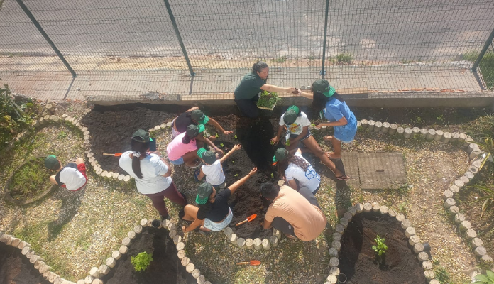 Projeto “Plantando para o Futuro” cultiva esperança e aprendizado na Casa da Teca em Florianópolis