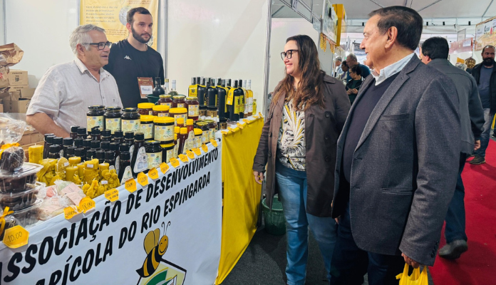 XXIV Feira do Mel em Florianópolis valoriza a apicultura e meliponicultura e destaca importância do produto para saúde e economia
