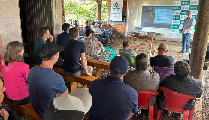 Visita Técnica fortalece práticas sustentáveis na bovinocultura de corte em Caibi