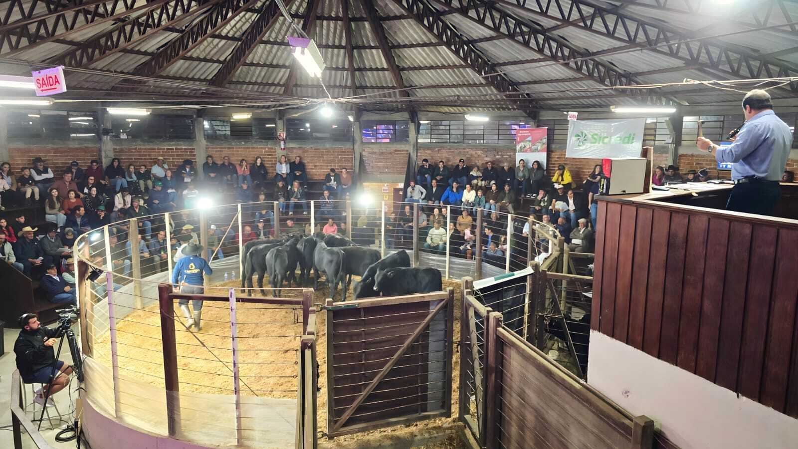 Feira do Terneiro evidencia o elevado padrão da pecuária em São Joaquim