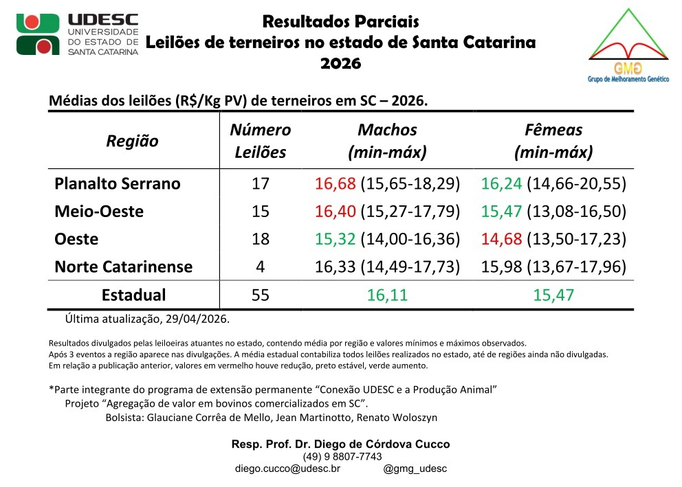 Leilões de terneiros registram alta nos preços em Santa Catarina