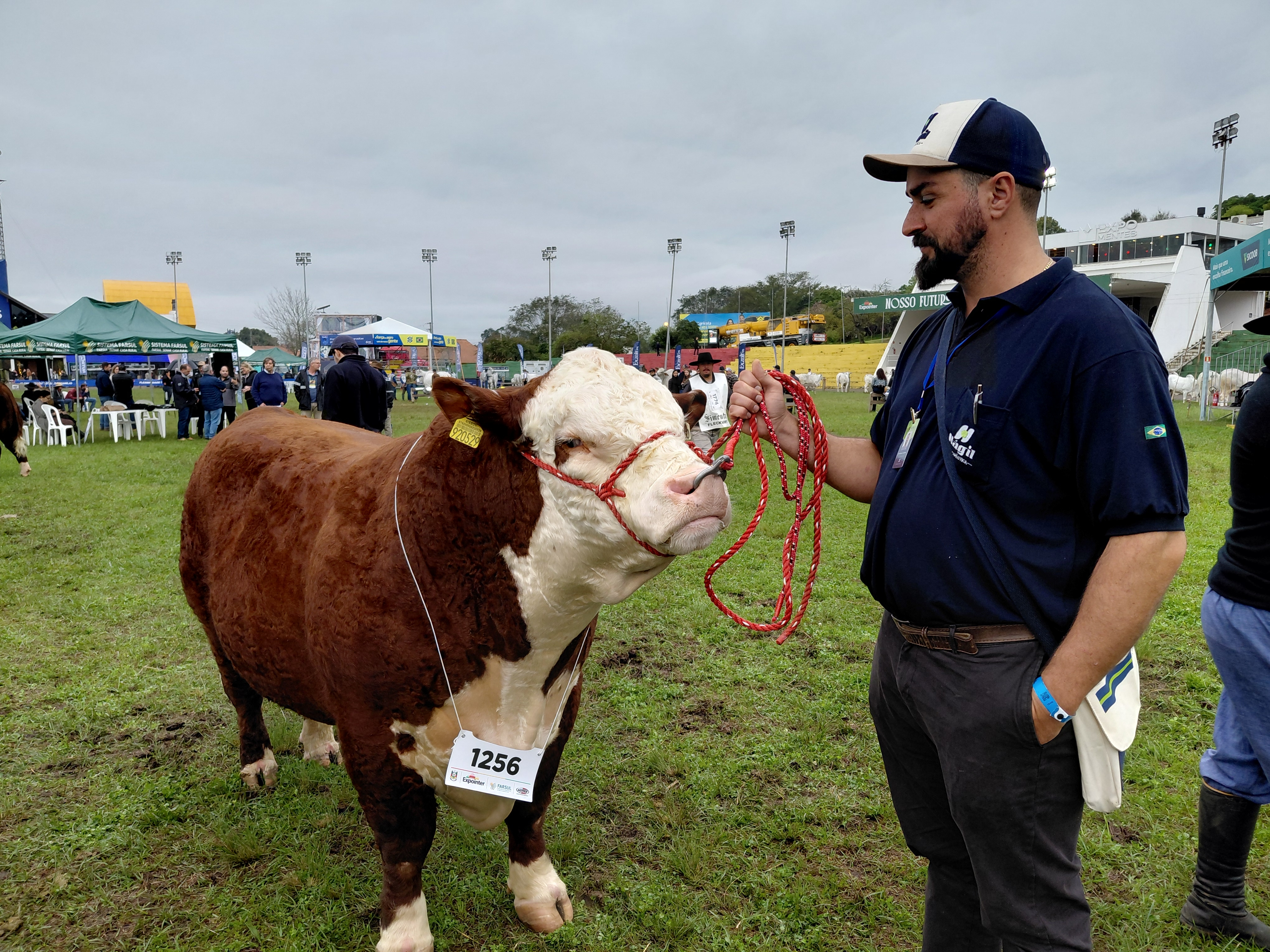 Santa Catarina se destaca na Expointer 2026 com 65 animais premiados