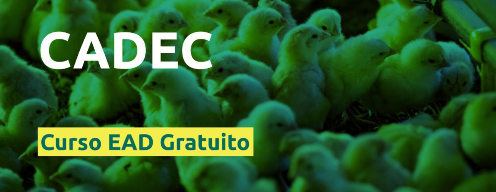 Curso CADEC gratuito capacita para o modelo de negócio do produtor integrado