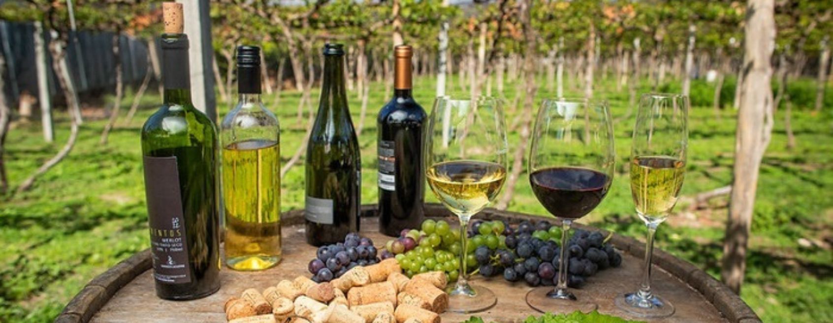 Prêmio CNA Brasil Artesanal de vinhos e espumantes está com inscrições abertas