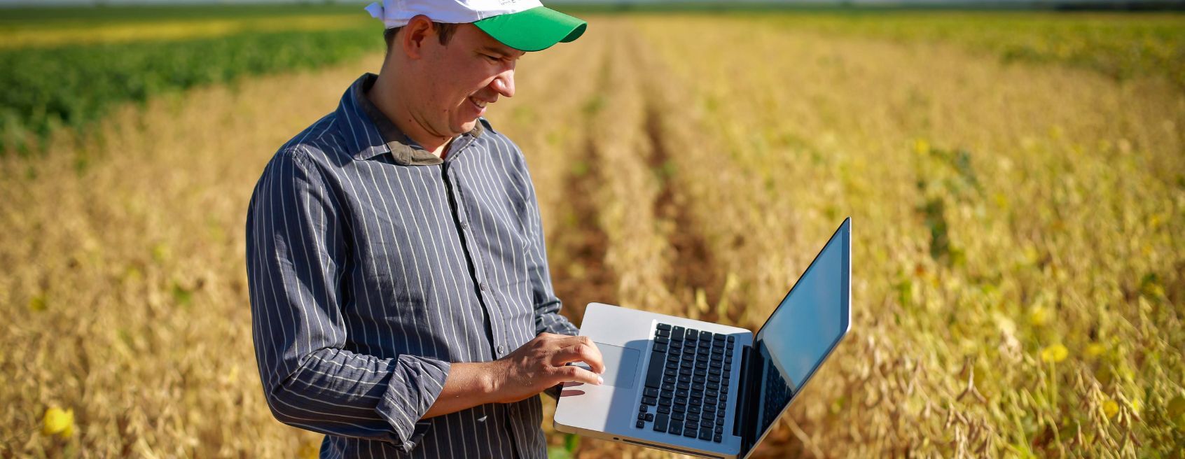 SENAR/SC disponibiliza 470 cursos gratuitos para o público do campo em setembro