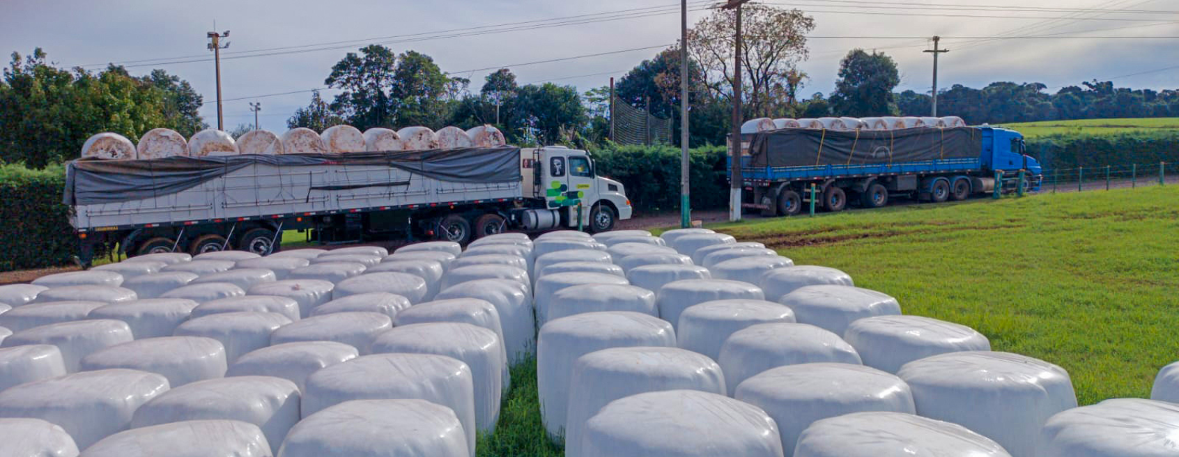 SISTEMA CNA/SENAR PROMOVE AÇÃO PARA RECONSTRUIR O AGRO NO RIO GRANDE DO SUL
