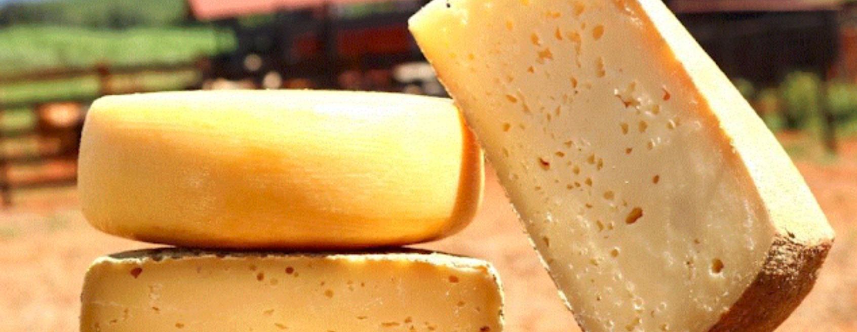 Fique atento aos novos requisitos para  concessão dos selos Arte e Queijo Artesanal