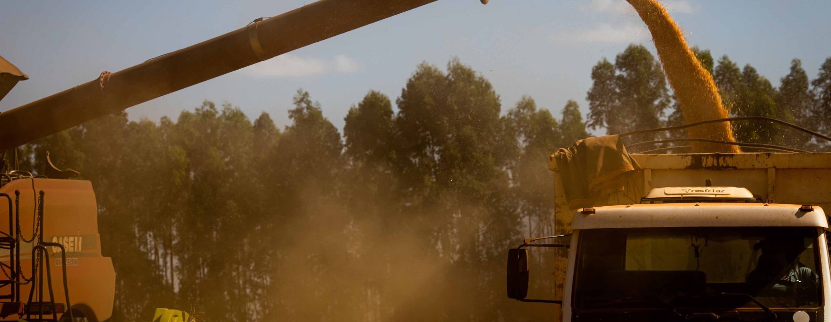 Faesc alerta produtores sobre o Plano de Governo para renegociação de parcelas de operações de crédito rural