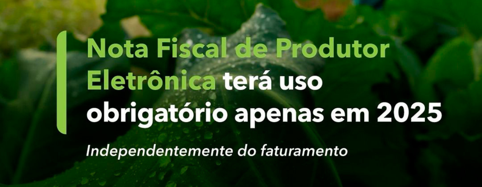 Obrigatoriedade da Nota Fiscal de Produtor Eletrônica adiada para 2025