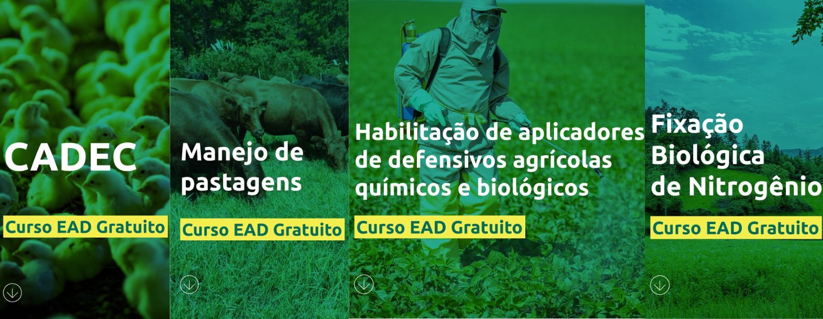Atenção produtores rurais! Cadec: um dos cursos mais procurados está com matrículas abertas no Portal EAD do Senar/SC