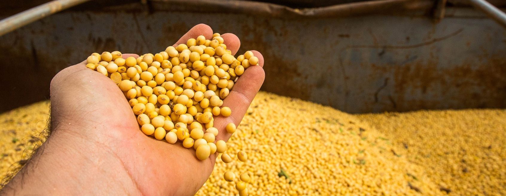 Levantados custos de produção de grãos em Campos Novos
