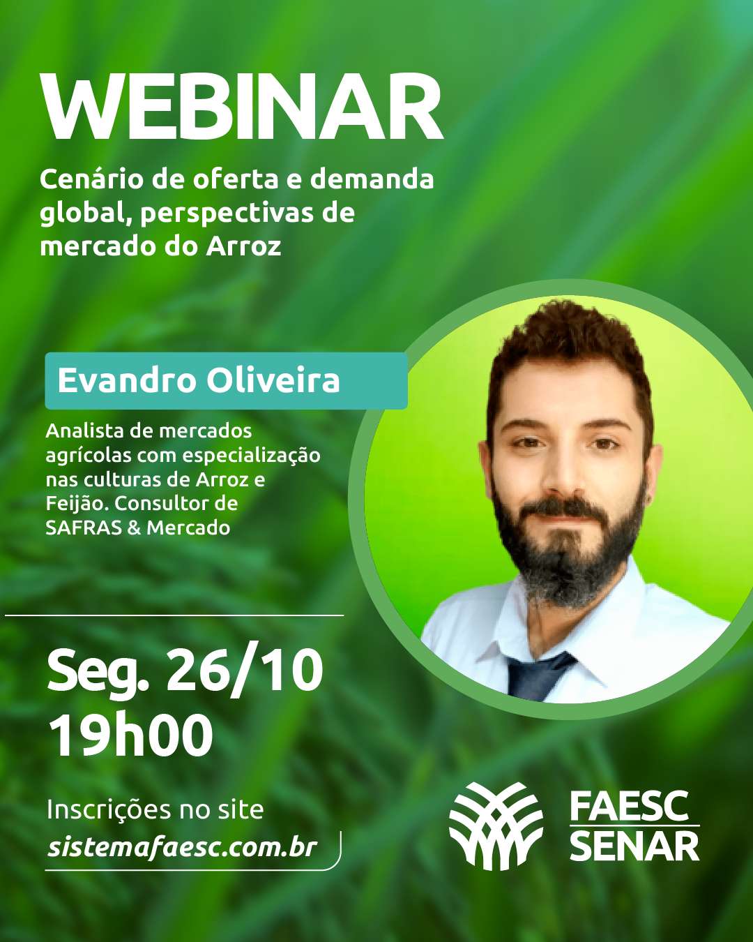 Sistema FAESC/SENAR e Safras & Mercado promovem webinar gratuito sobre o mercado do arroz