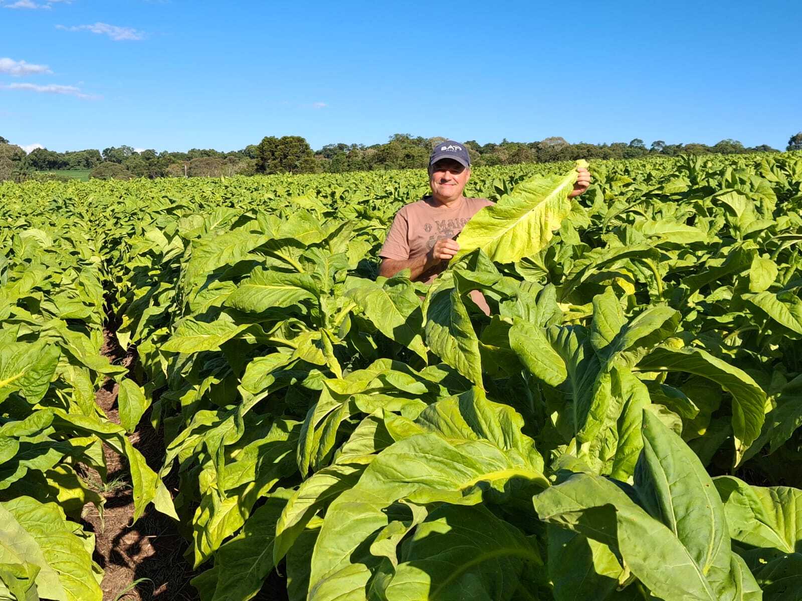 Reajuste das tabelas do tabaco será debatido em reuniões na próxima semana