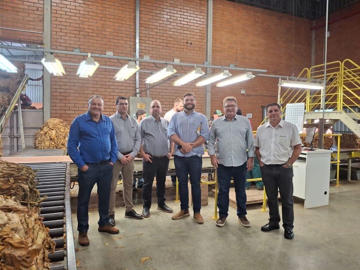 Entidades do setor produtivo avaliam safra de tabaco nos três Estados do Sul