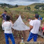Treinamento sobre Cultivo Protegido de Hortaliças é sucesso na APAE de São Joaquim
