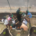 Projeto “Plantando para o Futuro” cultiva esperança e aprendizado na Casa da Teca em Florianópolis