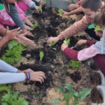 Projeto “Plantando para o Futuro” transforma realidade escolar em Bom Retiro