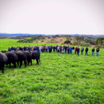 Dia de Campo da ATeG Pecuária de Corte demonstra o potencial do setor para mais de 100 produtores em São Joaquim