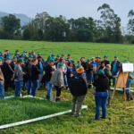 Dia de Campo Regional em Meleiro reúne mais de 100 produtores para discutir práticas de manejo