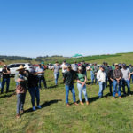 Dia de Campo aborda cultivares de inverno para a pecuária em Treze Tílias