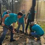 Capacitação do Pró-Mudas reúne participantes de quatro estados em Santa Catarina