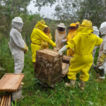 Sistema FAESC/SENAR/SINDICATOS promove cerca de 300 cursos gratuitos em dezembro