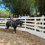 Sistema FAESC/SENAR/SINDICATOS promove 275 cursos gratuitos em janeiro