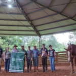 TREINAMENTOS Sistema Faesc/Senar/Sindicatos leva quase 500 cursos gratuitos ao campo em março