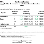 Divulgado o quinto resultado parcial dos leilões de terneiros em SC
