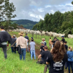 Visita técnica destaca resultados da ATeG na bovinocultura de corte em Anchieta