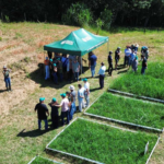Dia de Campo destaca técnicas para fortalecer a ovinocaprinocultura no Vale do Itajaí