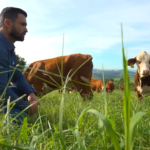 Saiba como ATeG pode transformar os resultados de uma propriedade rural