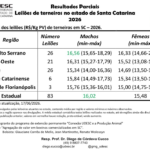 Leilões de terneiros e terneiras em SC chegam a 83 eventos no primeiro semestre