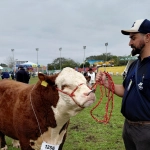 Santa Catarina se destaca na Expointer 2026 com 65 animais premiados