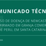 Newcastle - CNA reforça confiança na defesa sanitária e no compromisso dos produtores com biosseguridade