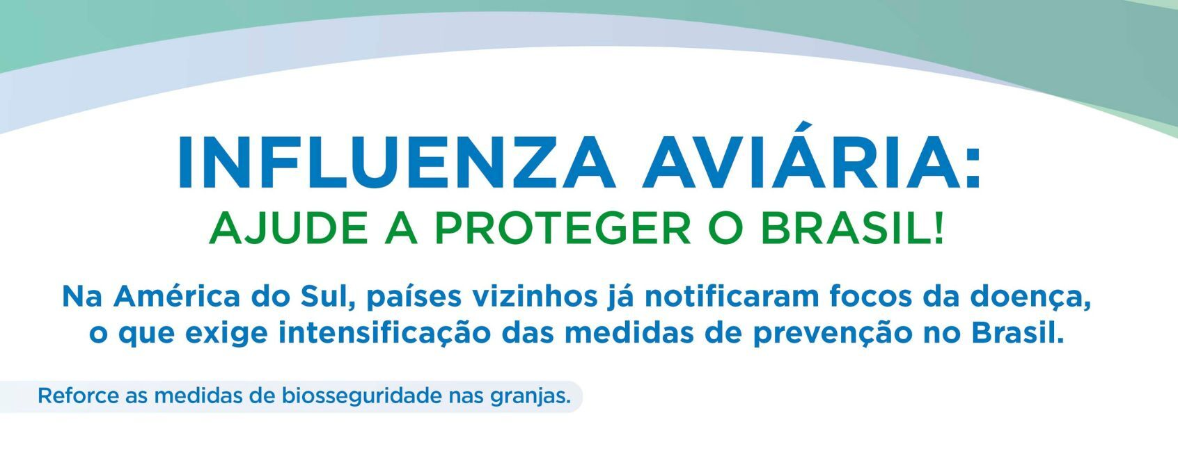 CNA divulga comunicado sobre Influenza Aviária com orientações técnicas